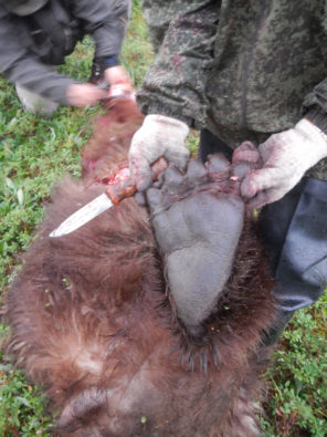 Kamchatka Bear Hunting